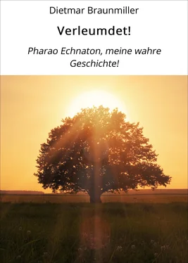 Dietmar Braunmiller Verleumdet! обложка книги