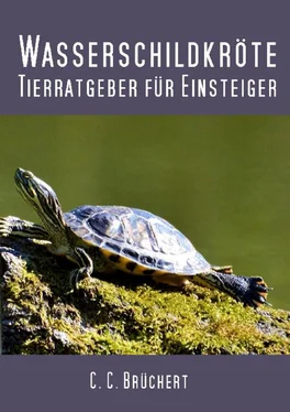 C. C. Brüchert Tierratgeber für Einsteiger - Wasserschildkröten обложка книги
