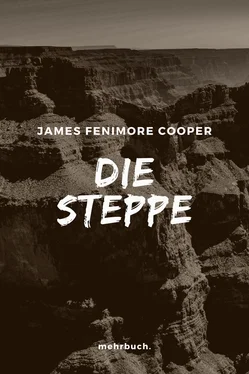 James Cooper Die Steppe обложка книги