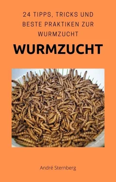 André Sternberg Wurmzucht обложка книги