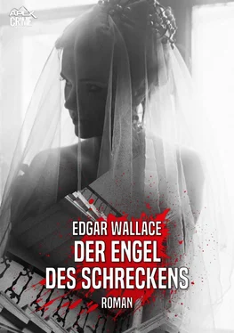 Edgar Wallace DER ENGEL DES SCHRECKENS обложка книги