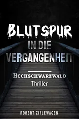 Robert Zirlewagen - Blutspur in die Vergangenheit