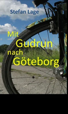 Stefan Lage Mit Gudrun nach Göteborg обложка книги