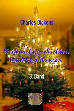 Charles Dickens Weihnachtsgeschichten und Erzählungen, 3. Band обложка книги