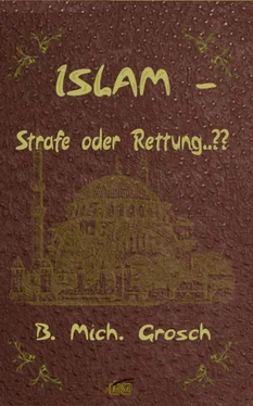 Bernd Michael Grosch Islam – Strafe oder Rettung..?? обложка книги