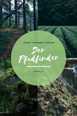 James Cooper Der Pfadfinder обложка книги