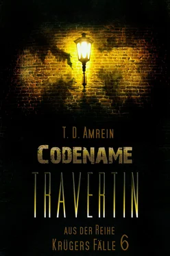 T.D. Amrein Codename Travertin обложка книги