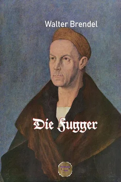 Walter Brendel Die Fugger обложка книги