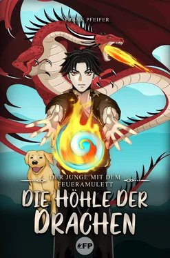 Frank Pfeifer Der Junge mit dem Feueramulett: Die Höhle der Drachen обложка книги