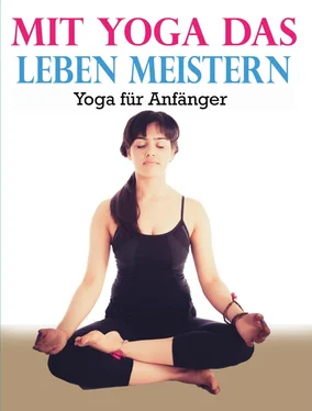 Kerstin Vollath Mit Yoga das Leben meistern обложка книги