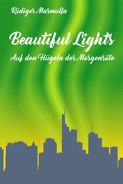 Rüdiger Marmulla Beautiful Lights обложка книги