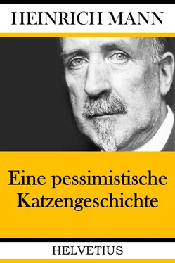 Heinrich Mann Eine pessimistische Katzengeschichte обложка книги