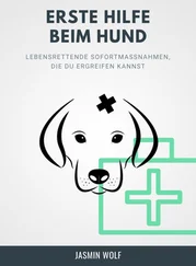 Jasmin Wolf - Erste Hilfe beim Hund