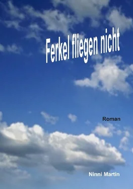 Ninni Martin Ferkel fliegen nicht обложка книги