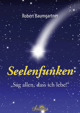 Robert Baumgartner Seelenfunken обложка книги