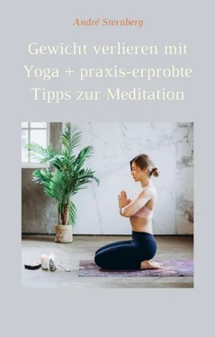 André Sternberg Gewicht verlieren mit Yoga + praxis-erprobte Tipps zur Meditation обложка книги