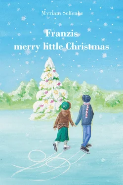 Myriam Schenke Franzis merry little Christmas обложка книги