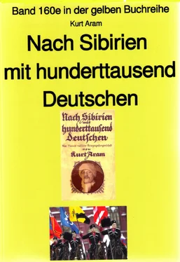 Kurt Aram Kurt Aram: Nach Sibirien mit hunderttausend Deutschen обложка книги