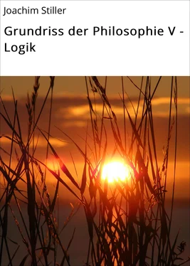 Joachim Stiller Grundriss der Philosophie V - Logik обложка книги