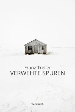 Franz Treller Verwehte Spuren обложка книги