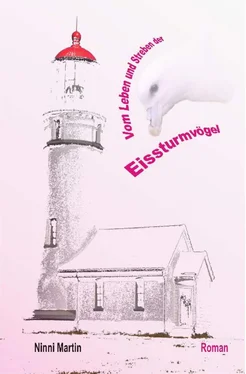 Ninni Martin Vom Leben und Streben der Eissturmvögel обложка книги