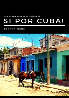 Dirk Wiethüchter Si por Cuba! обложка книги