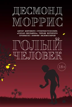 Десмонд Моррис Голый человек (сборник) обложка книги