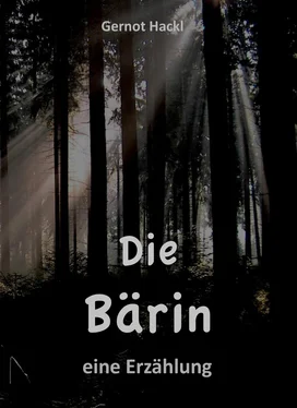 Gernot Hackl DIE BÄRIN обложка книги