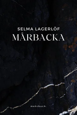 Selma Lagerlöf Mårbacka обложка книги