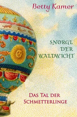 Betty Kamer Snørgl der Waldwicht обложка книги