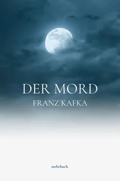 Franz Kafka Der Mord обложка книги