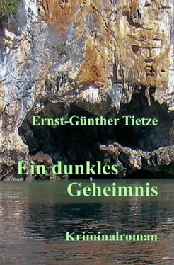 Ernst-Günther Tietze Ein dunkles Geheimnis обложка книги