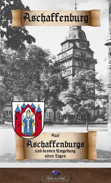 Erik Schreiber Aus Aschaffenburgs und dessen Umgebung alten Tagen обложка книги