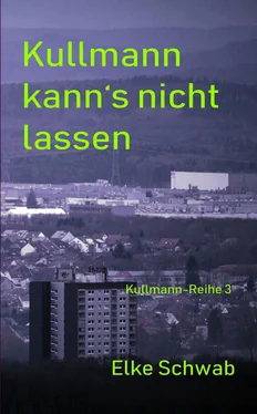 Elke Schwab Kulllmann kann's nicht lassen обложка книги