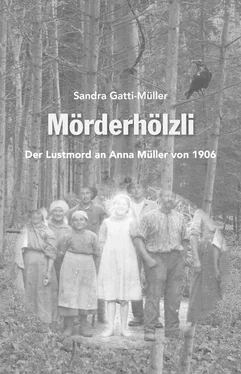 Sandra Gatti geb. Müller Mörderhölzli обложка книги
