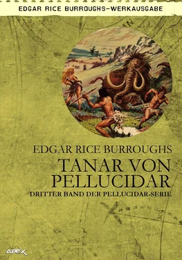 Edgar Burroughs TANAR VON PELLUCIDAR обложка книги