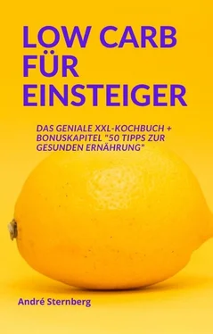 André Sternberg Low Carb für Einsteiger обложка книги