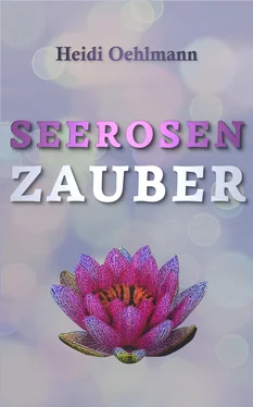 Heidi Oehlmann Seerosenzauber обложка книги
