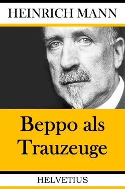 Heinrich Mann Beppo als Trauzeuge обложка книги