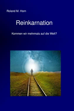 Roland M. Horn Reinkarnation - Kommen wir mehrmals auf die Welt? обложка книги