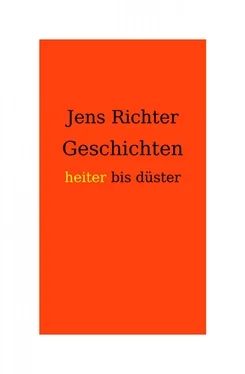 Jens Richter Geschichten heiter bis düster обложка книги