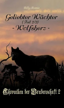 Billy Remie Geliebter Wächter 2: Wolfsherz обложка книги