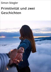 Simon Stiegler - Primitivität und zwei Geschichten