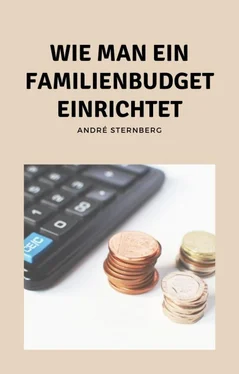 André Sternberg Wie man ein Familienbudget einrichtet обложка книги