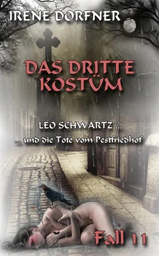 Irene Dorfner Das dritte Kostüm обложка книги