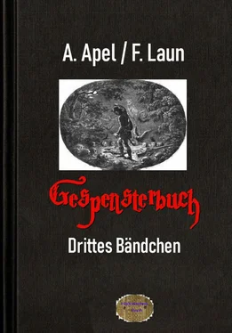 August Apel Gespensterbuch, Drittes Bändchen обложка книги