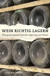 Igor Maltempi - Wein richtig lagern
