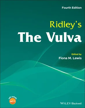 Неизвестный Автор Ridley's The Vulva обложка книги