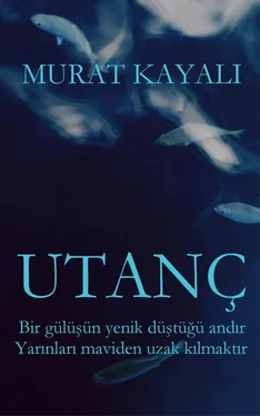 Murat Kayali Utanç обложка книги