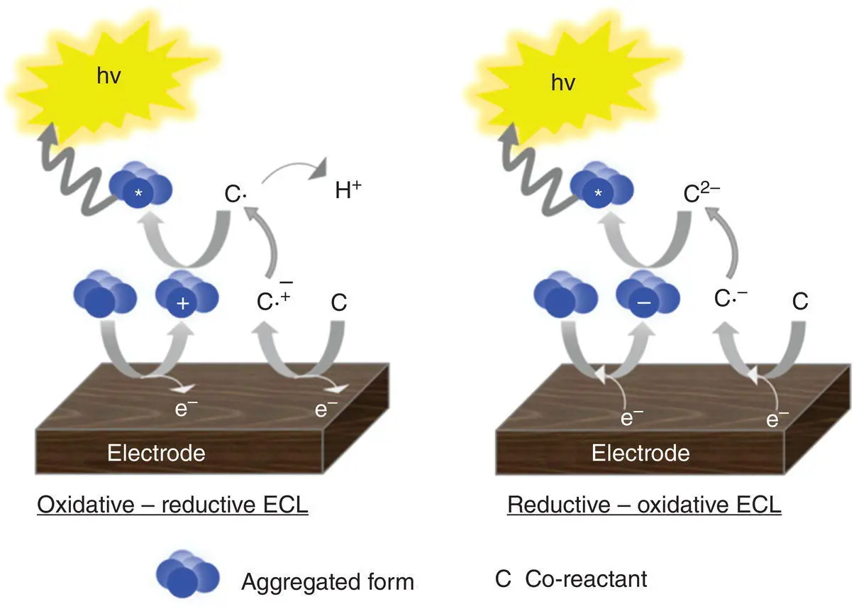 Figure 43 Schematic diagram describing the electron transfer reactions - фото 59